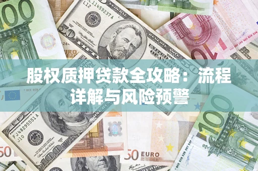 武汉股权质押贷款全攻略：流程详解与风险预警