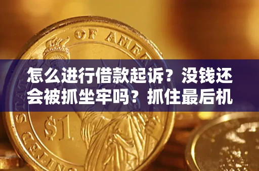 武汉怎么进行借款起诉？没钱还会被抓坐牢吗？抓住最后机会！