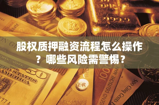 武汉股权质押融资流程怎么操作？哪些风险需警惕？