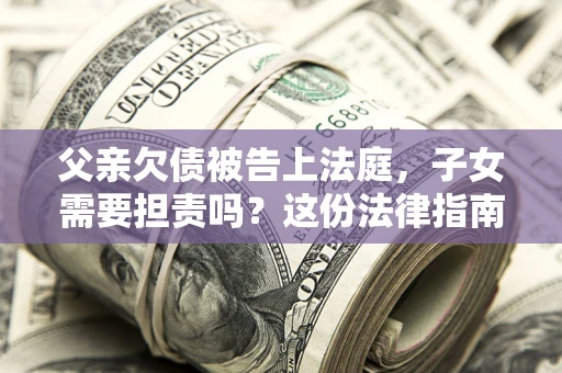 武汉父亲欠债被告上法庭，子女需要担责吗？这份法律指南必须看完