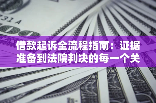 武汉借款起诉全流程指南：证据准备到法院判决的每一个关键步骤