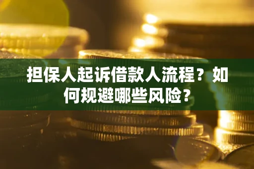 武汉担保人起诉借款人流程？如何规避哪些风险？
