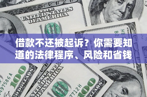 武汉借款不还被起诉？你需要知道的法律程序、风险和省钱技巧